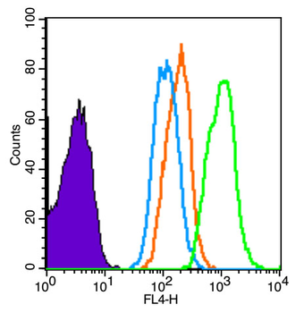 CD1d Rabbit Polyclonal Antibody