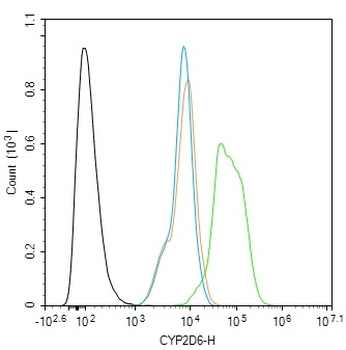 CYP2D6 Rabbit Polyclonal Antibody