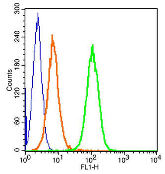 CD69 Rabbit Polyclonal Antibody