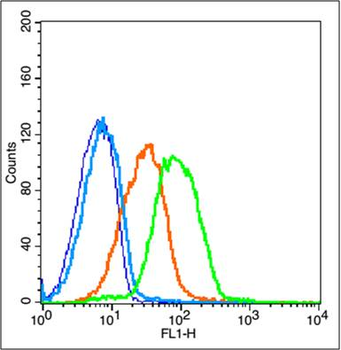 StAR Rabbit Polyclonal Antibody