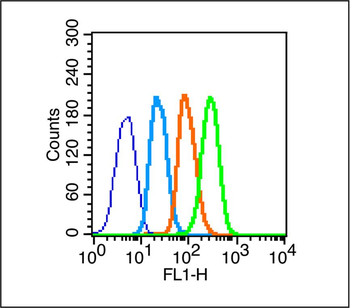 SOX9 Rabbit Polyclonal Antibody