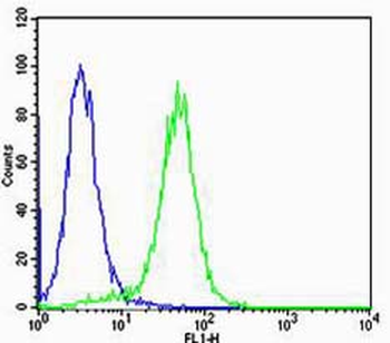 VEGFA Rabbit Polyclonal Antibody