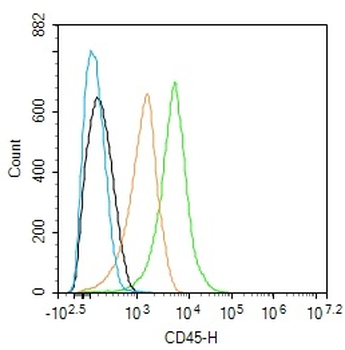 CD45 Mouse Monoclonal Antibody