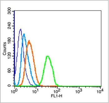 HAVCR1 Rabbit Polyclonal Antibody