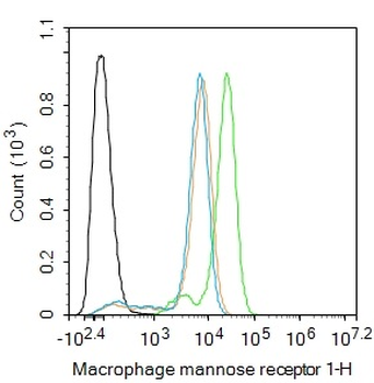 MRC1 Rabbit Polyclonal Antibody