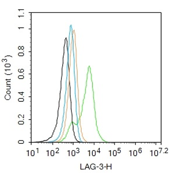 LAG3 Rabbit Polyclonal Antibody