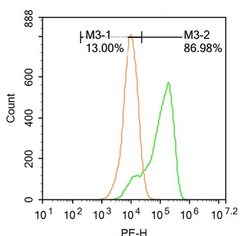 PTGES2 Rabbit Polyclonal Antibody