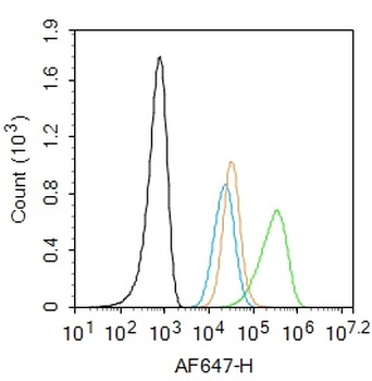 CD11c Rabbit Polyclonal Antibody
