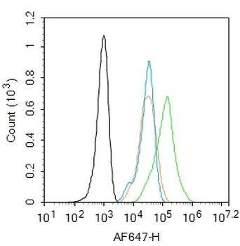 Angiotensinogen Rabbit Polyclonal Antibody