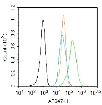 Galectin 3 Rabbit Polyclonal Antibody