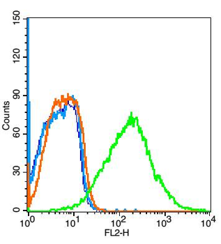 Substance P Rabbit Polyclonal Antibody