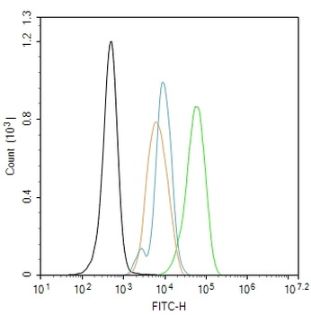 ELAVL1 Rabbit Polyclonal Antibody