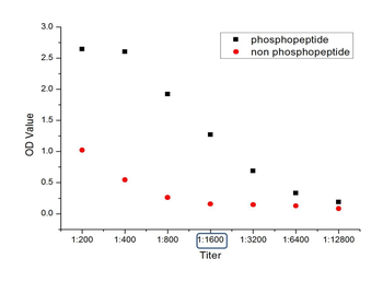 Phospho-FGFR1 (Tyr307) Rabbit Polyclonal Antibody