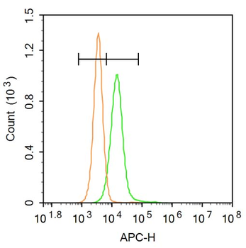 Frizzled 7 Rabbit Polyclonal Antibody