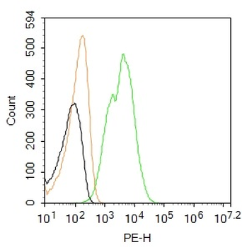 CD133 Rabbit Polyclonal Antibody (PE)
