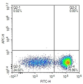 Human CD3 Mouse Monoclonal Antibody