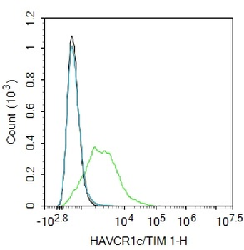 HAVCR1 Rabbit Polyclonal Antibody