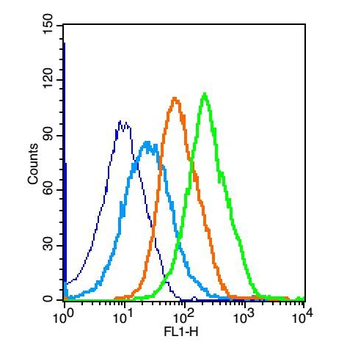 GSTP1 Rabbit Polyclonal Antibody