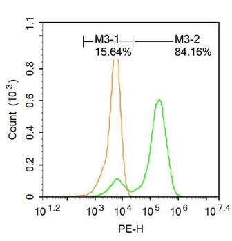 Cytochrome B Rabbit Polyclonal Antibody