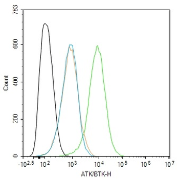 ATK/BTK Rabbit Polyclonal Antibody