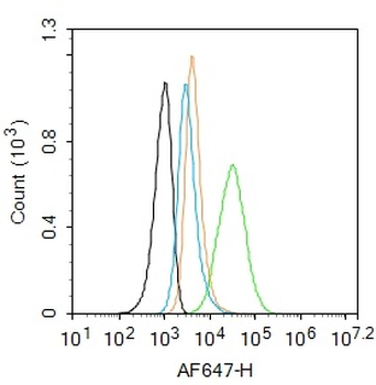 CD44v4 Rabbit Polyclonal Antibody