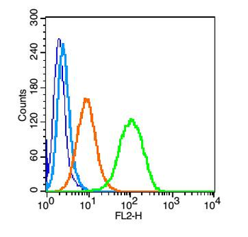 CD112 Rabbit Polyclonal Antibody