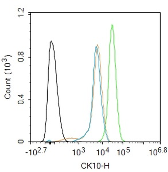 CK10 Rabbit Polyclonal Antibody