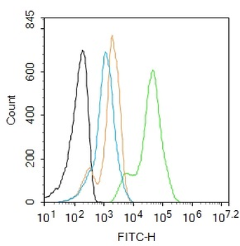 Phospho-Cardiac Troponin I (Ser23 + Ser24) Rabbit Polyclonal Antibody