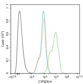 CYP2D6 Rabbit Polyclonal Antibody