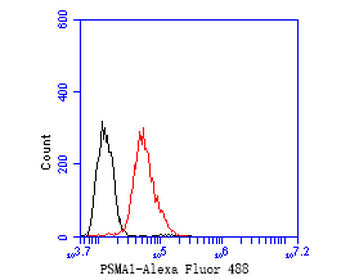 PSMA1 Recombinant Rabbit Monoclonal Antibody