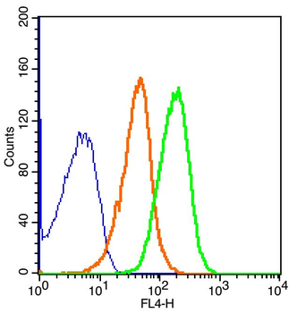 Glucagon Receptor Rabbit Polyclonal Antibody