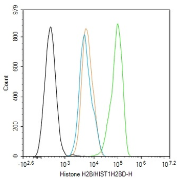 Histone H2B/HIST1H2BD Rabbit Polyclonal Antibody