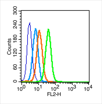 ITGAV Rabbit Polyclonal Antibody