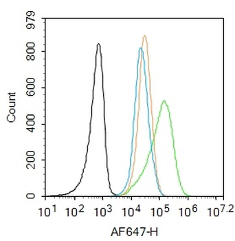 JNK1+JNK2+JNK3 Rabbit Polyclonal Antibody