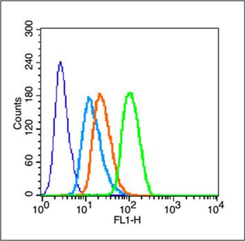 Phospho-14-3-3 epsilon (Thr232) Rabbit Polyclonal Antibody