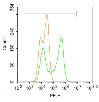 Phospho-CDKN2A (Ser140) Rabbit Polyclonal Antibody