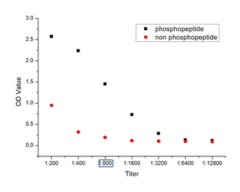 Phospho-p38 MAPK (Thr180 + Tyr182) Rabbit Polyclonal Antibody