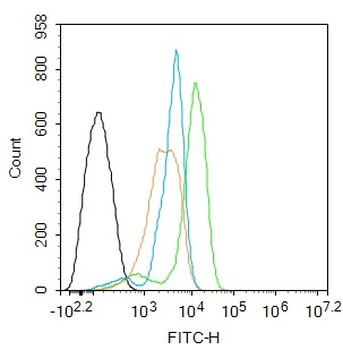 Peroxiredoxin 1 Rabbit Polyclonal Antibody