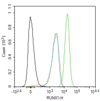 RUNX1 Rabbit Polyclonal Antibody