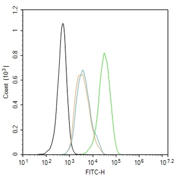 SIAH1 Rabbit Polyclonal Antibody