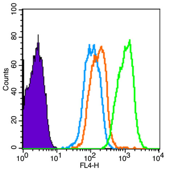 Smad3 Rabbit Polyclonal Antibody