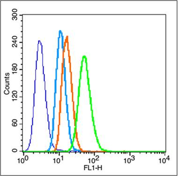 StAR Rabbit Polyclonal Antibody