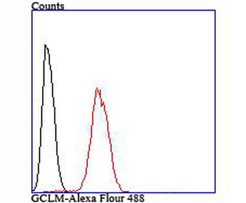 GCLM Recombinant Rabbit Monoclonal Antibody