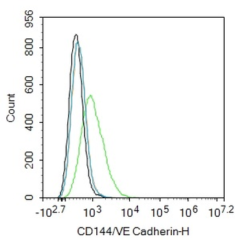 CD144/VE Cadherin Rabbit Polyclonal Antibody