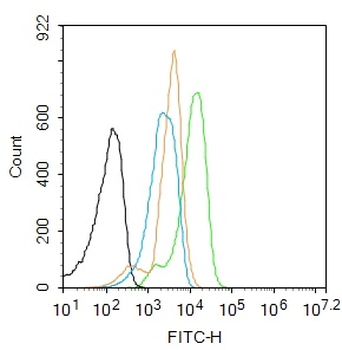 TGF Beta 1+2+3 Rabbit Polyclonal Antibody