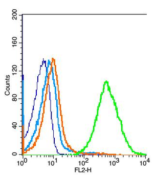 TLR6 Rabbit Polyclonal Antibody