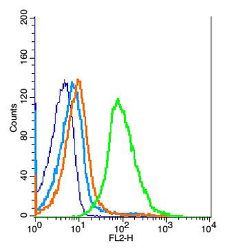 TLR9 Rabbit Polyclonal Antibody