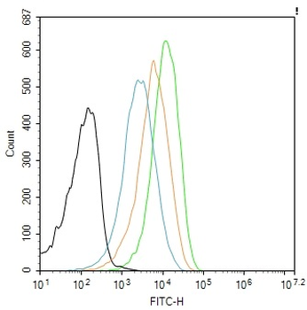 EZH2 Mouse Monoclonal Antibody