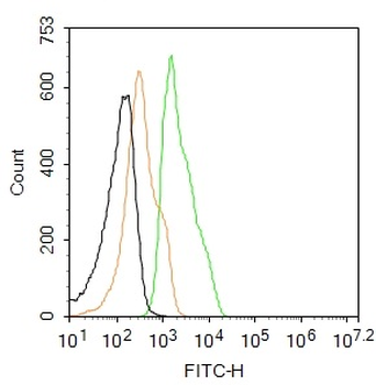 CK18 Rabbit Polyclonal Antibody (FITC)