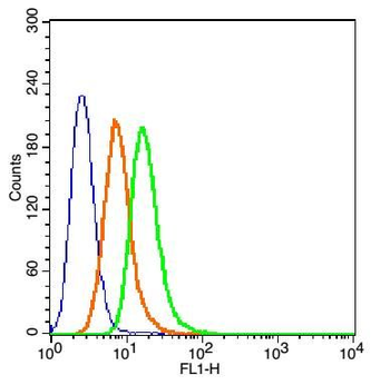 Cytokeratin 19 Rabbit Polyclonal Antibody (FITC)